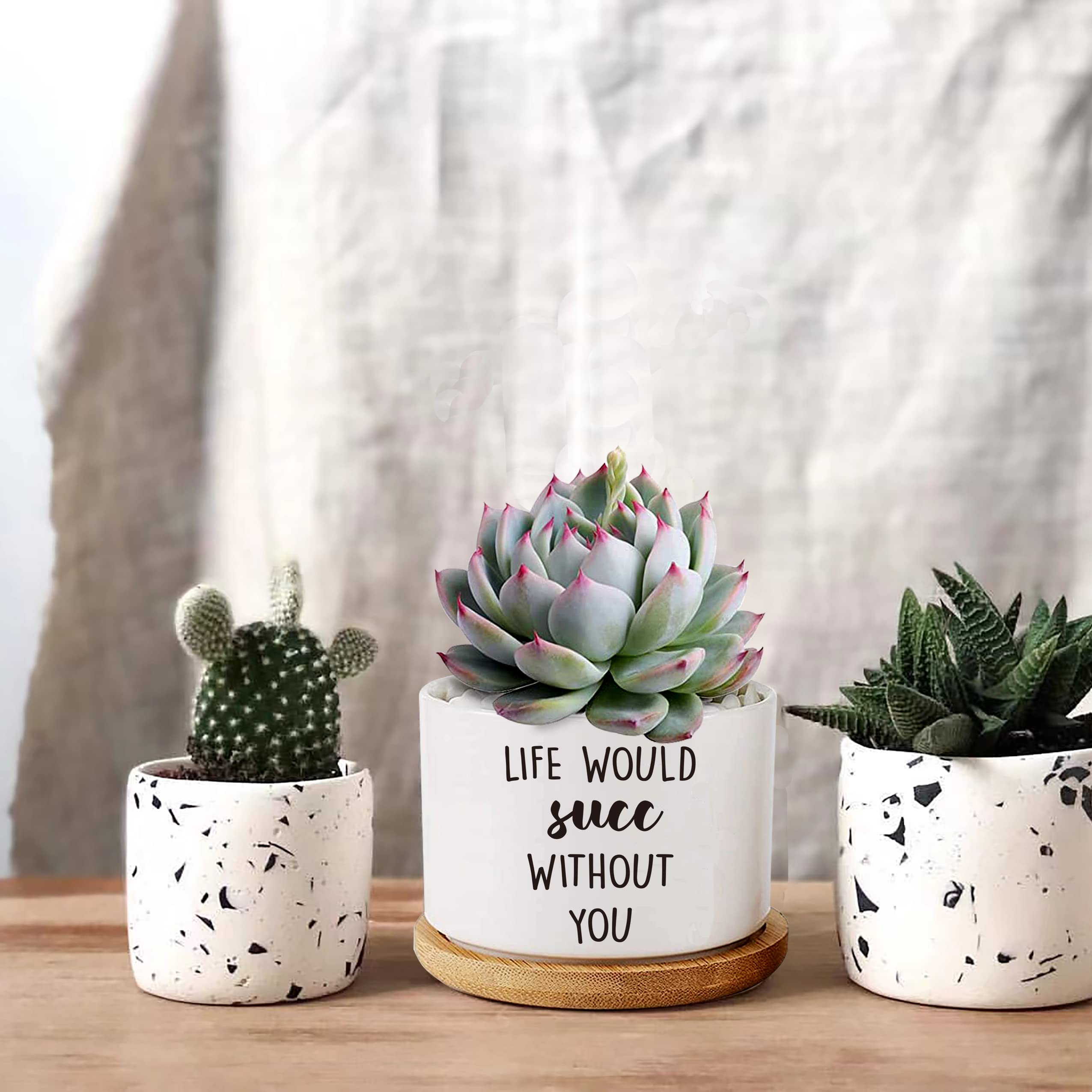 Set di 3 vasi per piante da giardino in ceramica bianca opaca con sottovaso, per interni ed esterni, rotondi (bianco opaco