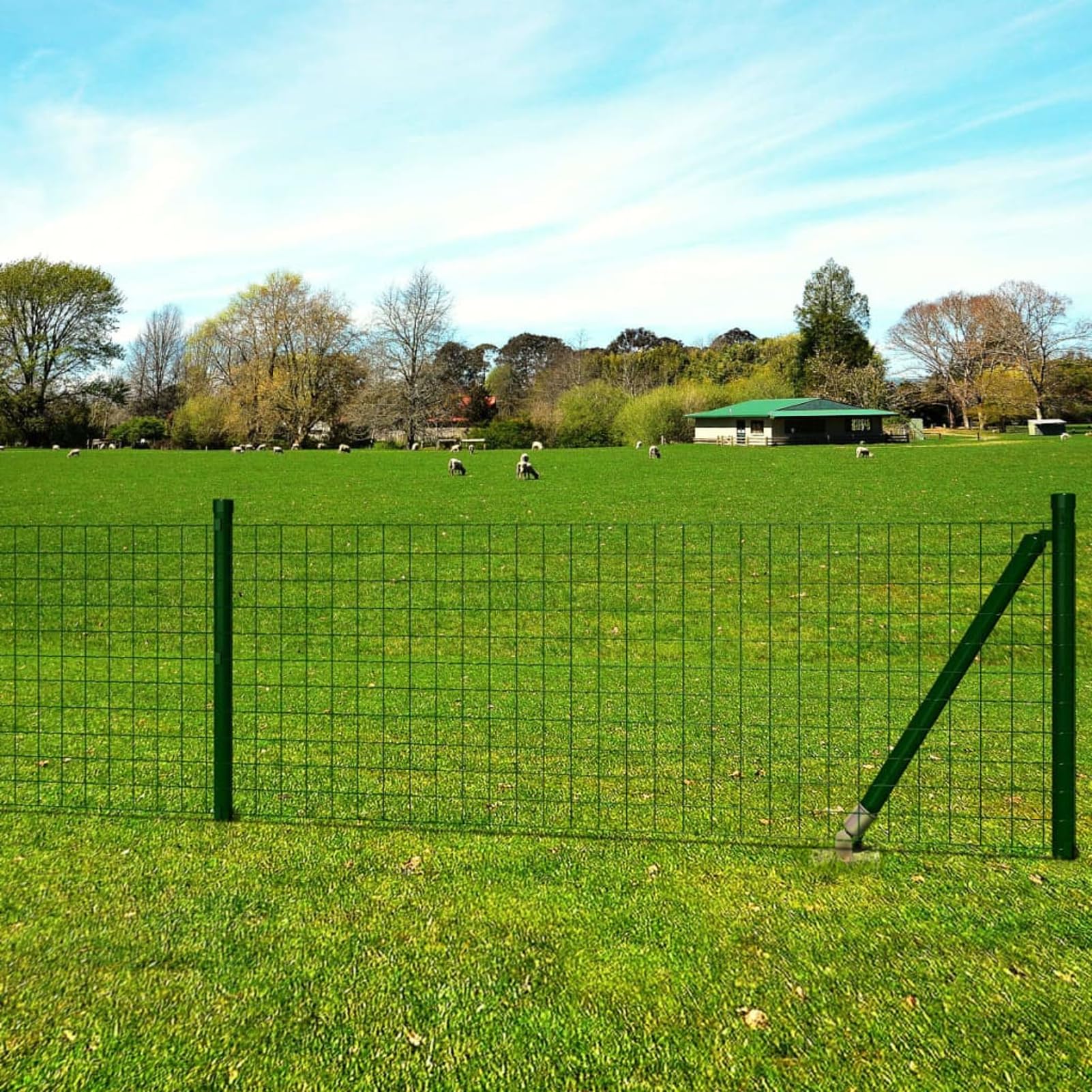 Euro Fence - Cerca de acero de 25 x 1,2 m, tela verde para gallinas, alambre soldado, para valla de red de pájaros, malla de conejo, valla de serpiente, malla de aves de corral, malla de jaula