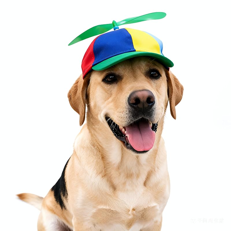 Chapéu para Cães com Hélice Removível e Giratória Ifnov Verde, XS