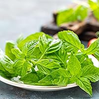 Vista 6 de GranAroma Hojas de albahaca, 6.4 onzas, secas, cortadas y tamizadas