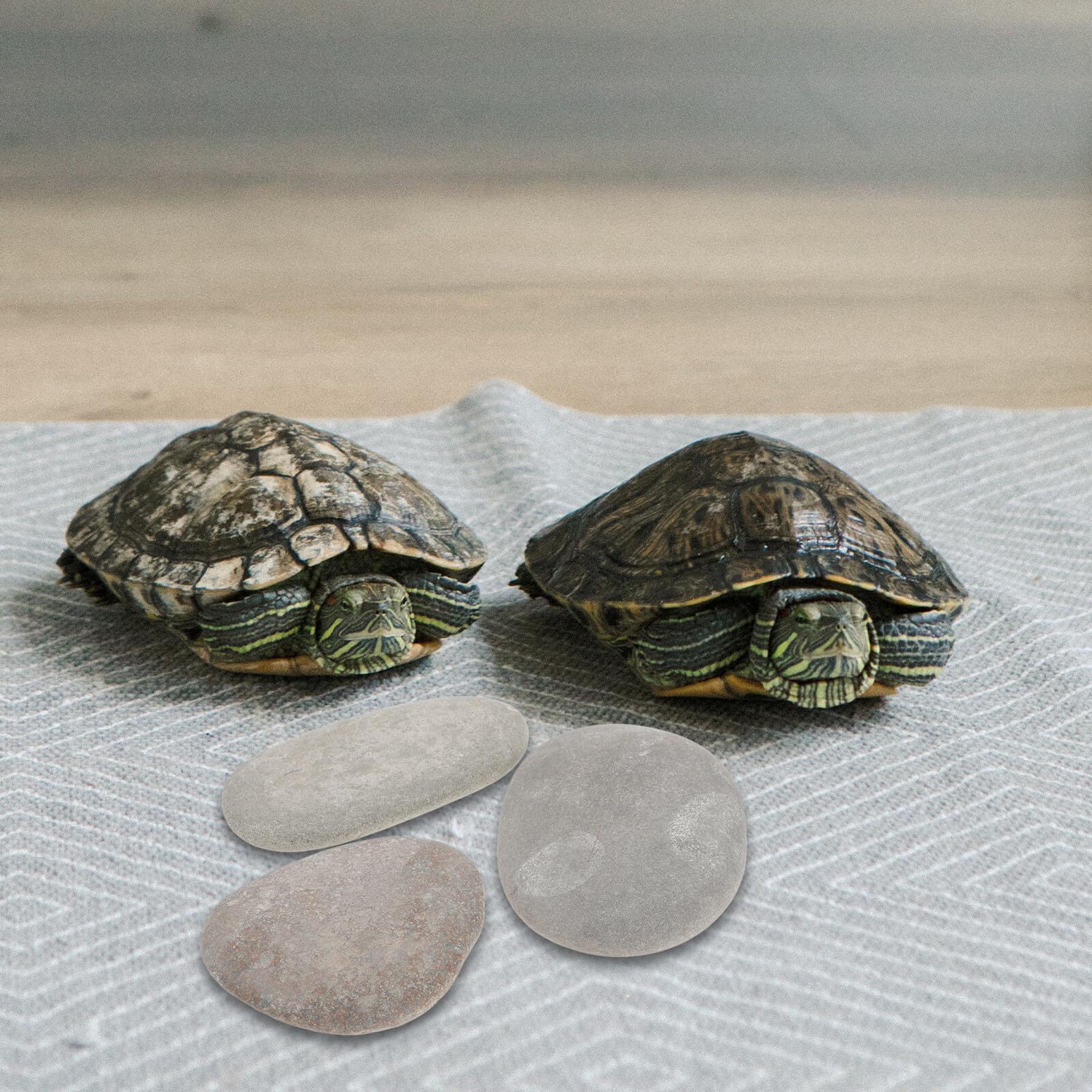 Steindekorationen im Aquarium und Versteck für Schildkröten 3 Stück mit Flacher Oberfläche als Sonnenplattform Zufällige Farbe und Reptilien Terrarium Zubehör