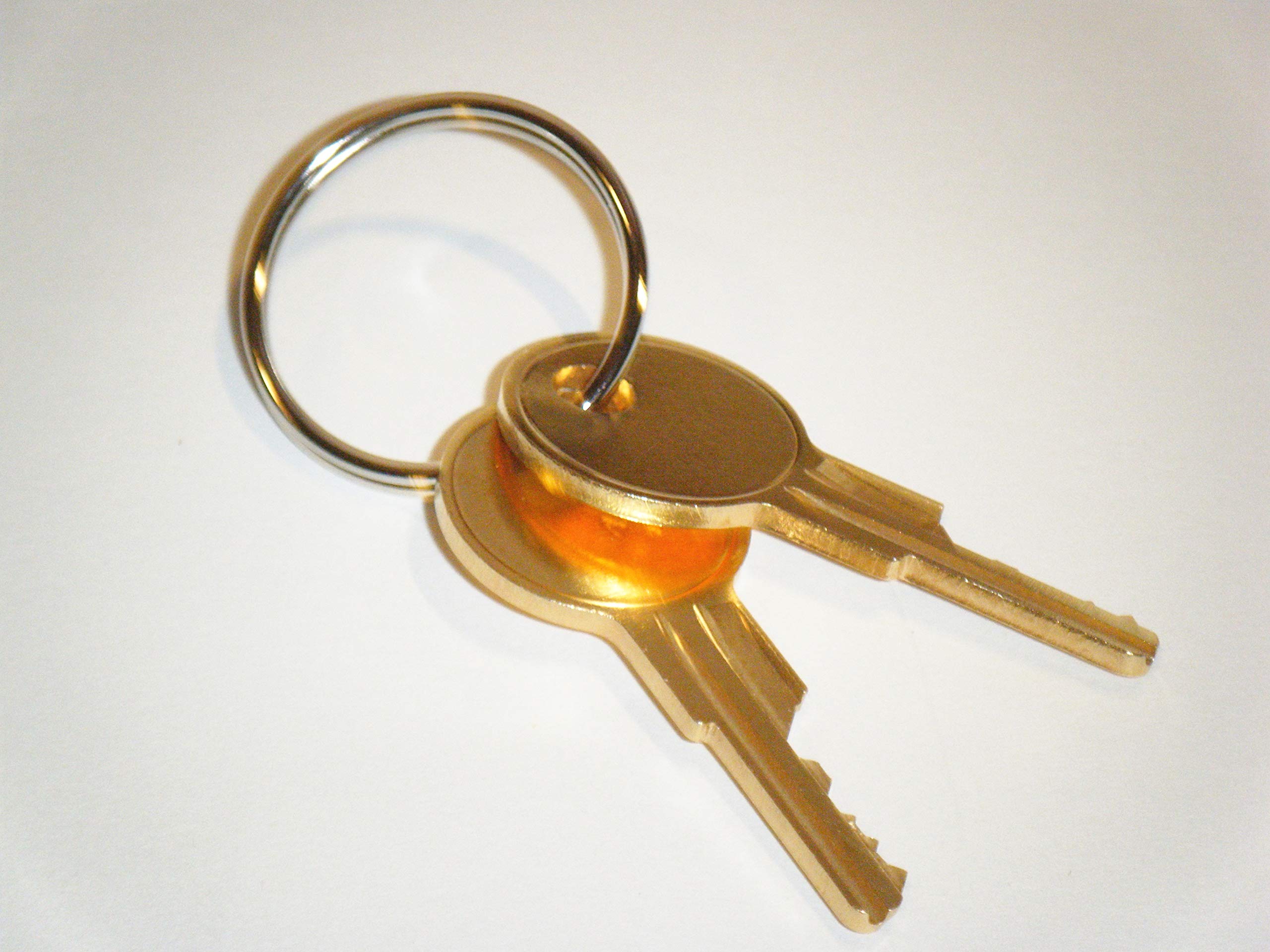 Amazon.com: Gas Pump Keys TPX83 Replacement Lock Keys ESP Brand