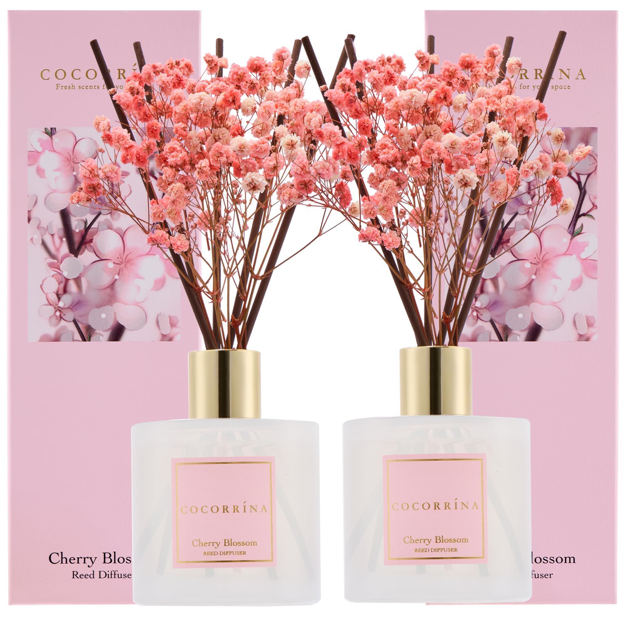 COCORRÍNA Reed Diffuser Set