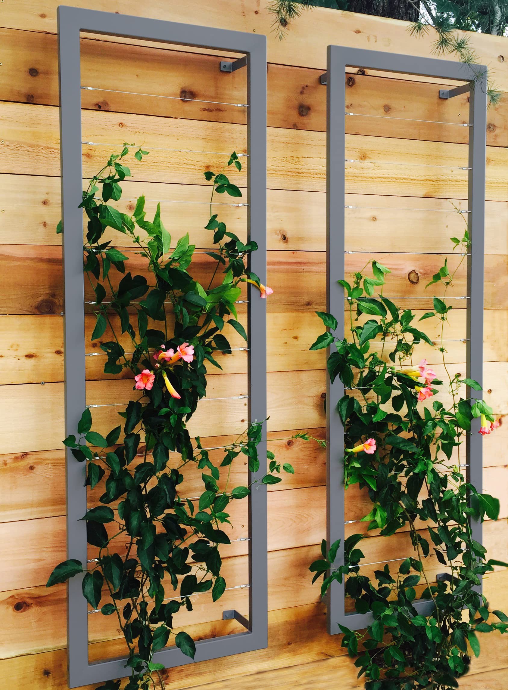 TERRA TRELLIS Ina Modern Wall Trellis for Outdoor Plants | Garden and Home Climbing Vines Wall Trellis | Modern, Steel & Durable | Large (Charcoal)