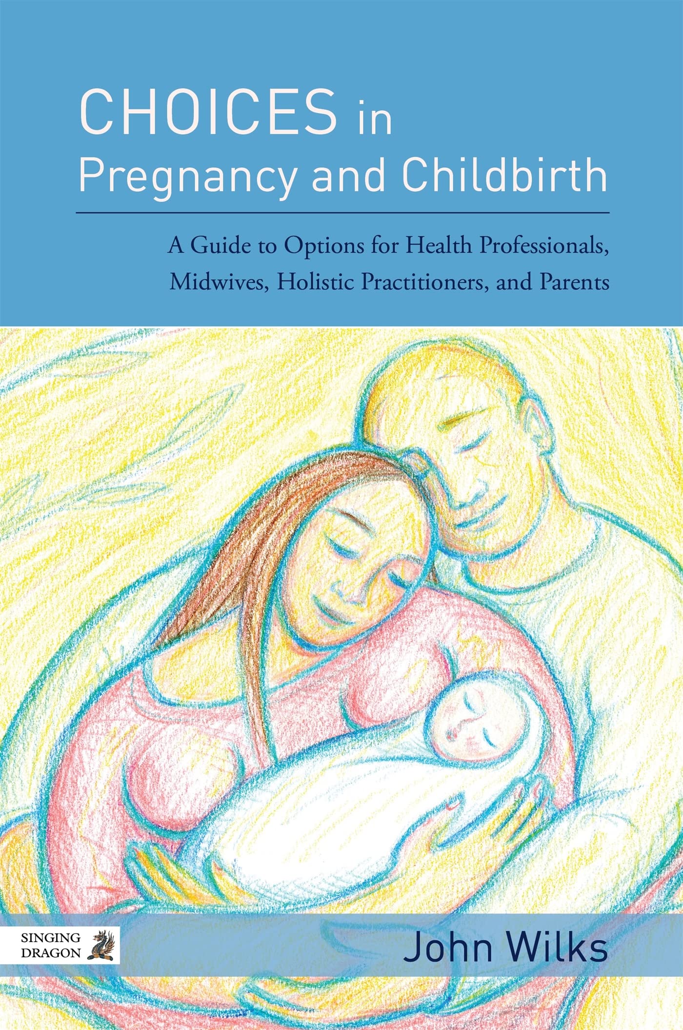 Choices in Pregnancy and Childbirth by John Wilks - 9781848192195