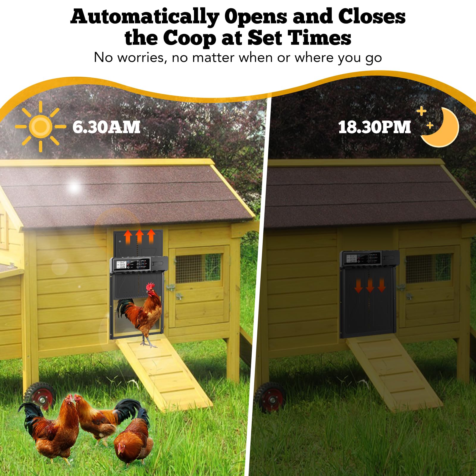 Talifoca Puerta Automática Gallinero con Pantalla LCD, Anti-atrapamiento, Temporizador