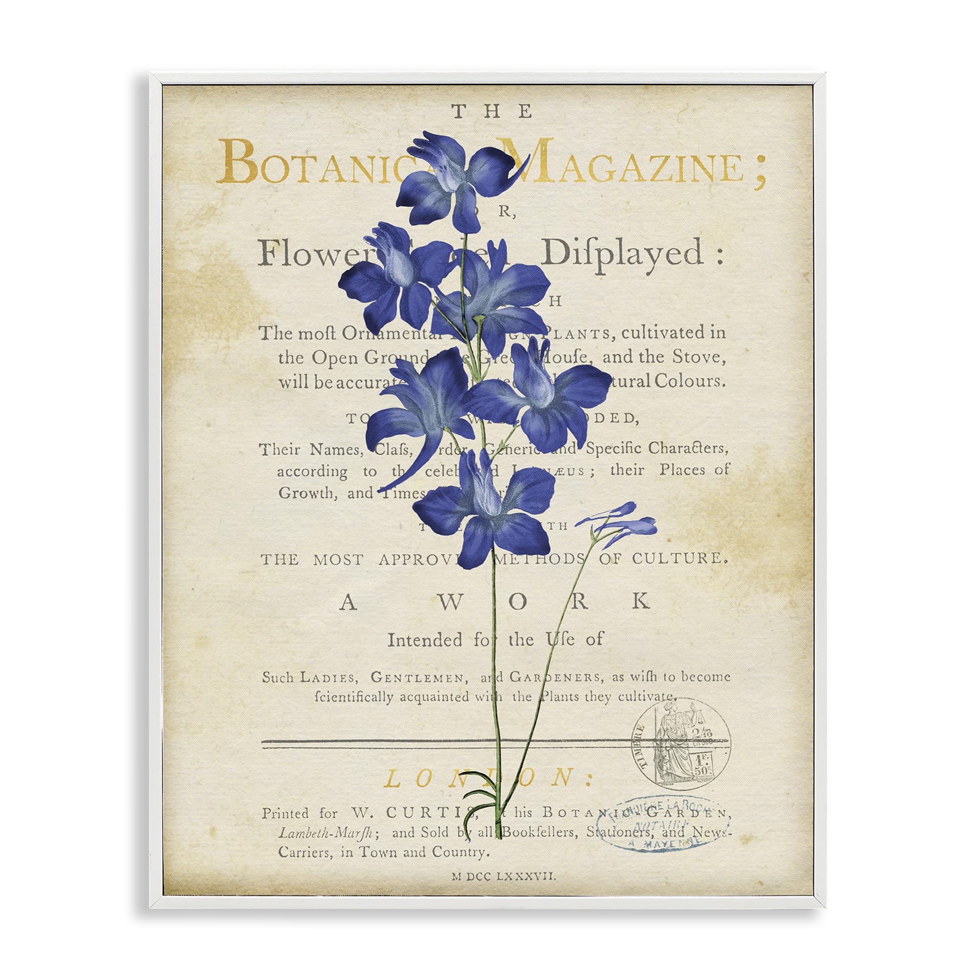 'Natural Botanic Garden Flower'| Framed Giclee Art