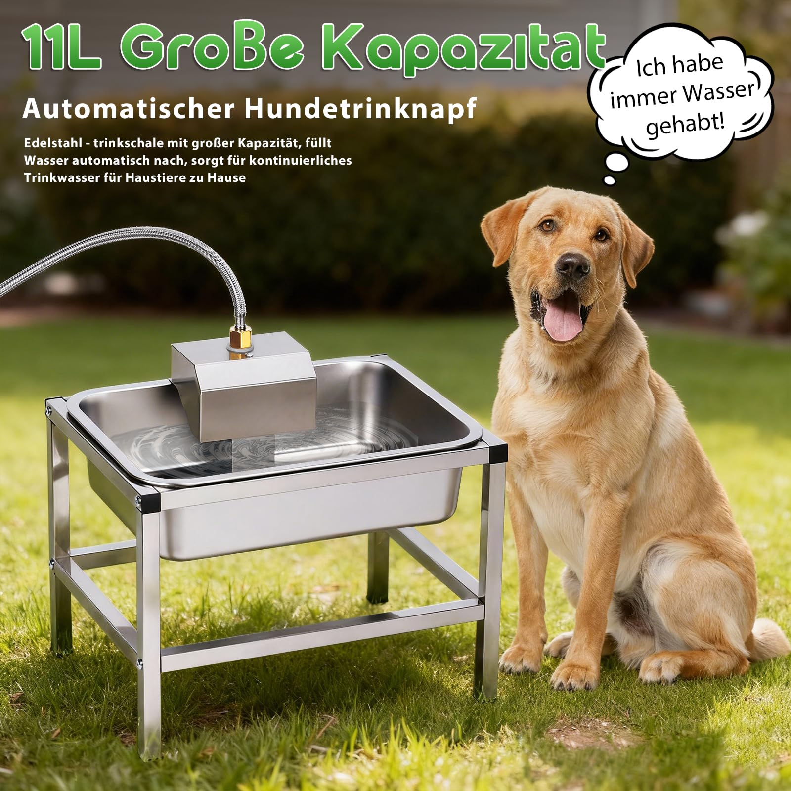 11L Trinkbrunnen für Hunde,Hundenapf Erhöht mit stabilem Metallständer,Edelstahl-Tiertränke mit Schwimmerventil,Edelstahl Hundebrunnen Automatische Wasserauffüllung für drinnen und drauße
