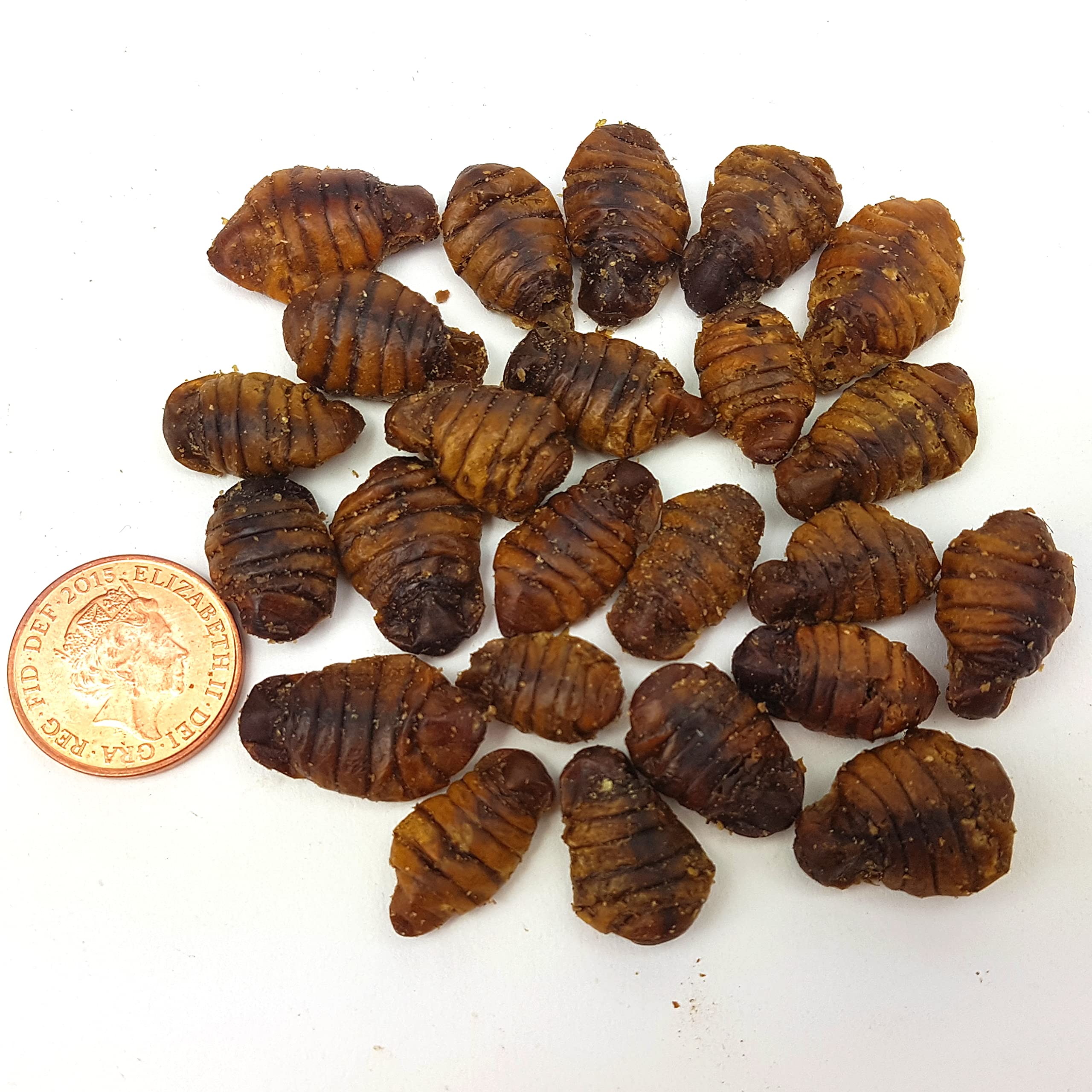 The Aqua Shack Natural Dried Silkworm Pupae Japanese Koi Treats