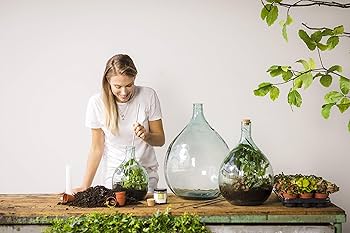 Esschert Design テラリウムボトルプランター ツール付き 55L Amazon.co.jp: Esschert Design AGG48 テラリウムボトル