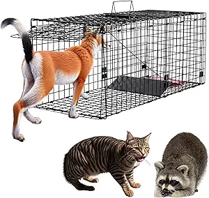 Humane Large Animal Trap Black 42 x 15.7 x 17.7 inch, Easy to Set & Release Animal Trap Cage, Collapsible Live Traps for Dogs, Raccoons, Foxes, Coyotes