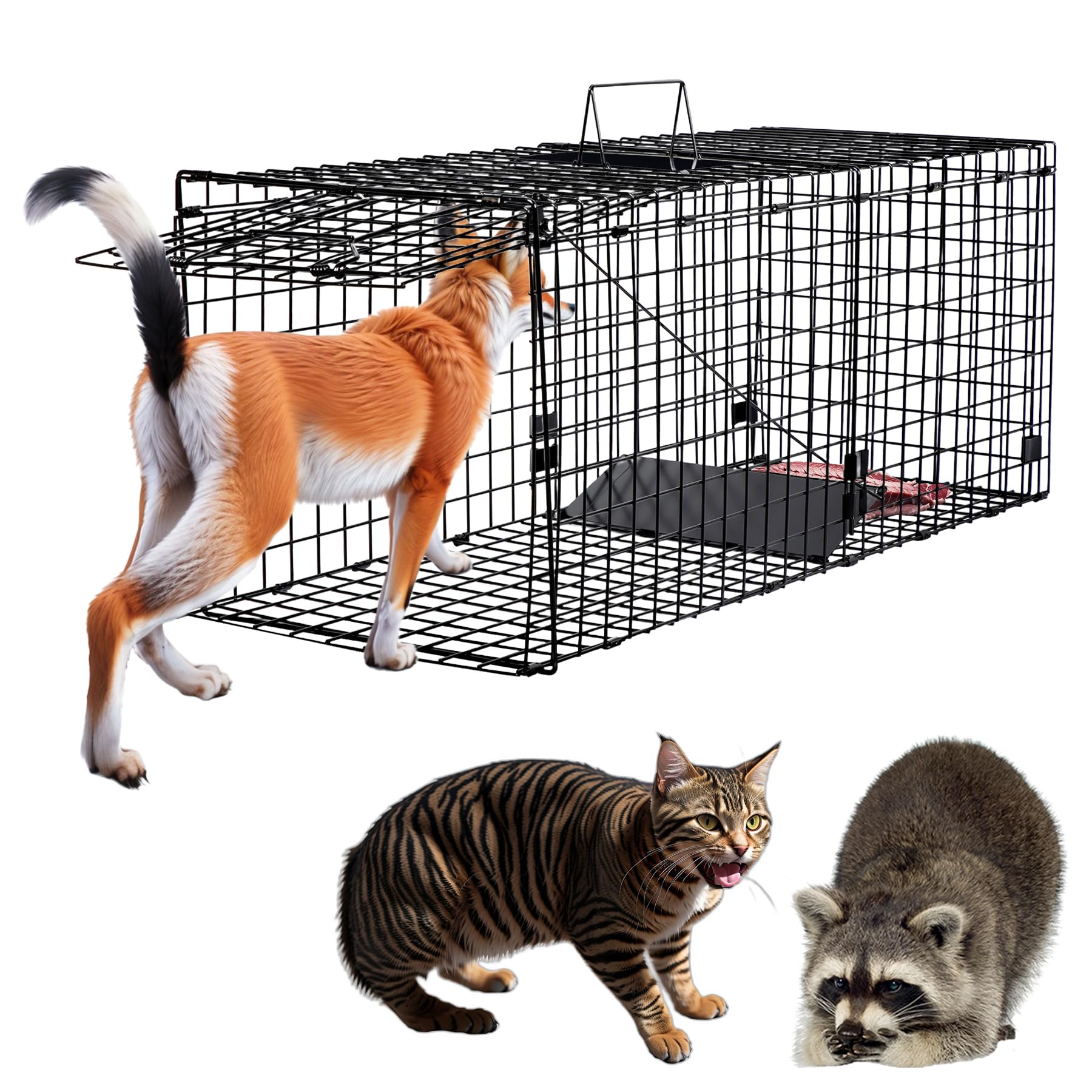 Amazon.com : Toriexon Humane Large Animal Trap Black 42 x 15.7 x