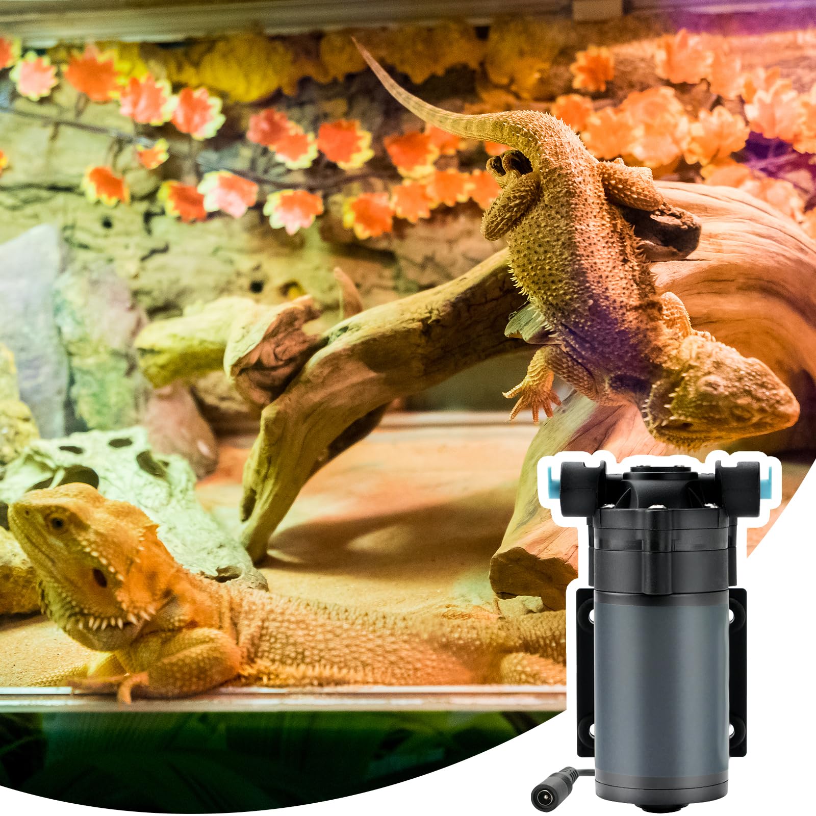 Terrarium Mister, Terrario De Plantas Con 6 Boquillas Humidificador De Niebla Para Plantas Para Terrario De Reptiles Con Sistema De Riego Ajustable De 360 ​​​​° Para Terrarios Y Plantas De Anfibios