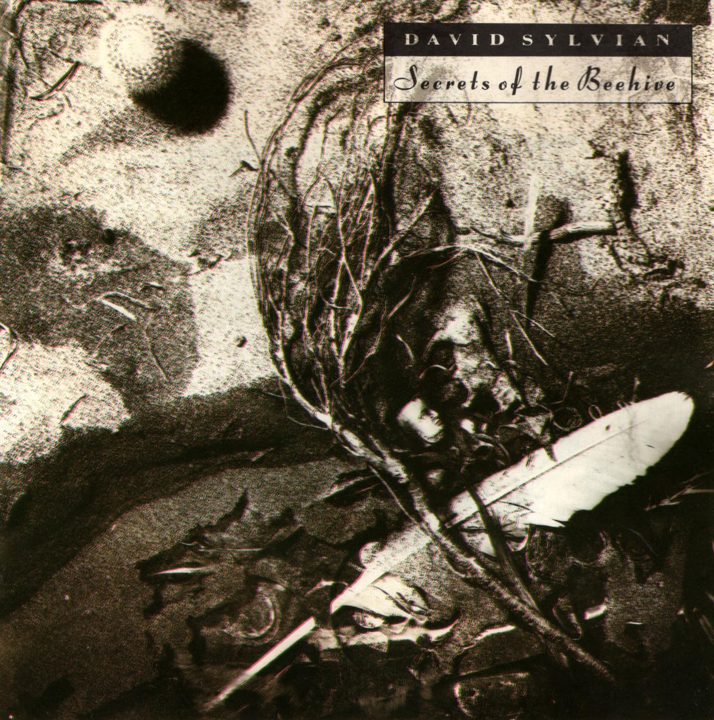 Secrets of the Beehive [Audio CD]
