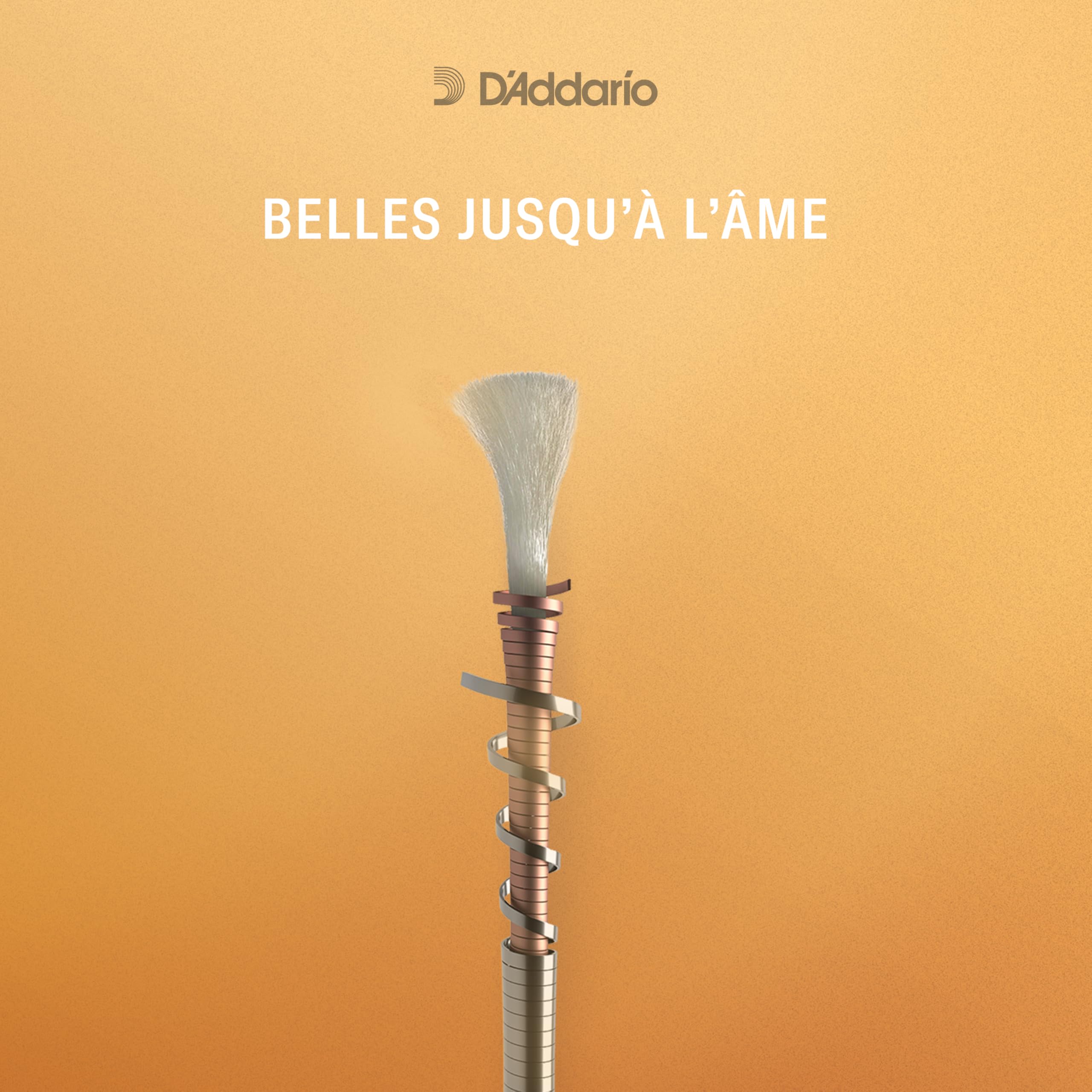 D'Addario A310 4/4M Jeu de cordes pour Violon