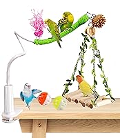 ZooVibe Bird Perch Stand with Swing - Adjustable Non-Slip Desktop Playground for Sun Conures, Lovebirds, Budgies, Cockatiels