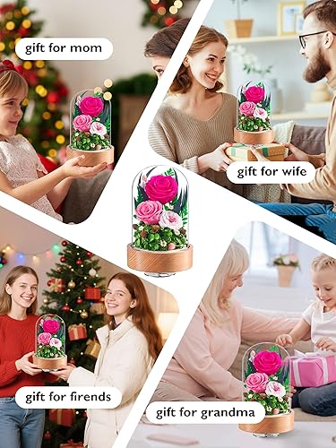 Miniatura 3 de Eterfield Flores para Entrega Prime, Rosas Preservadas de Navidad Regalos para Mujeres - Flor Eterna en Cúpula de Vidrio Regalos de Cumpleaños para