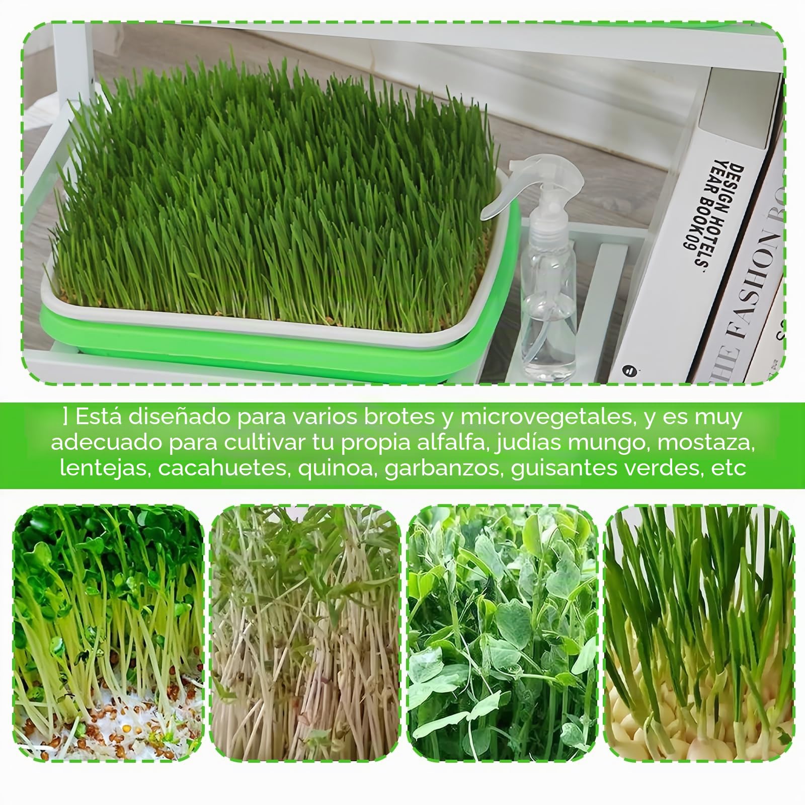 5 bandejas para brotes, juego de cultivo de brotes, berros, recipiente para germinar pasto de trigo, bandeja de germinación, para el cultivo de frijoles mungo alfalfa y hierba de trigo, 32,5 x 23,5 x