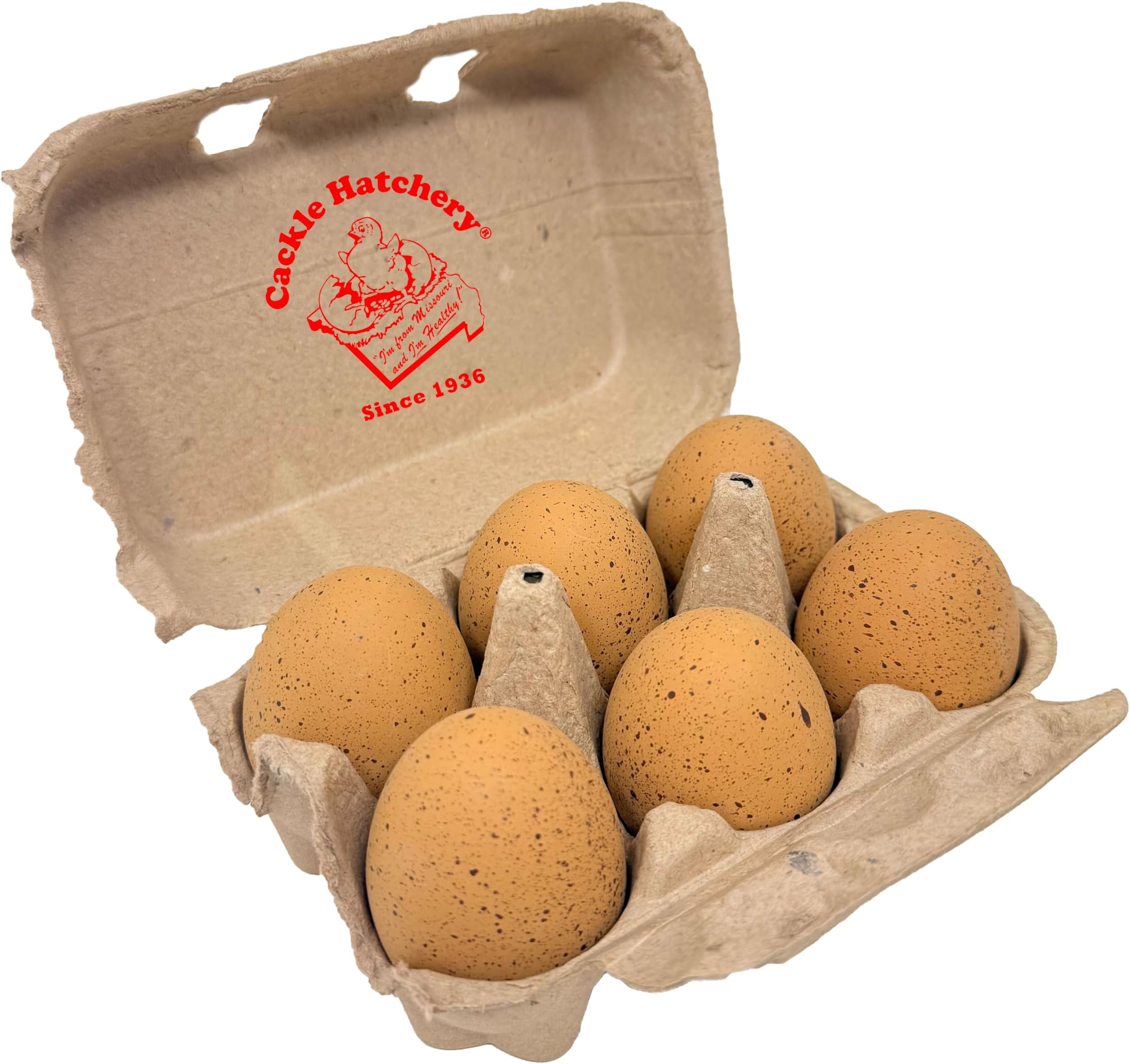 Cackle Hatchery Ceramic Nest Eggs - Speckled Egger™