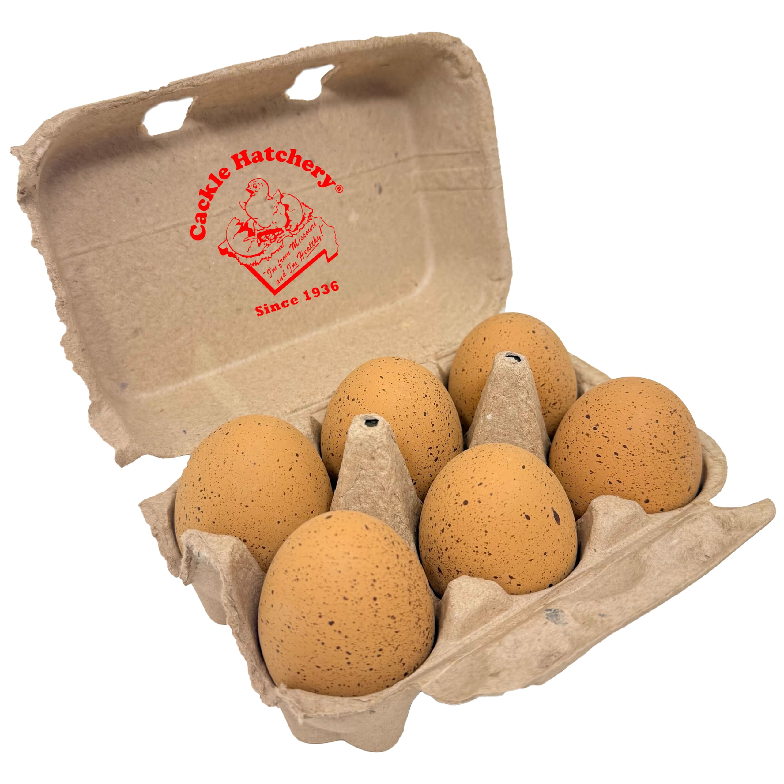 Cackle Hatchery Ceramic Nest Eggs - Speckled Egger™