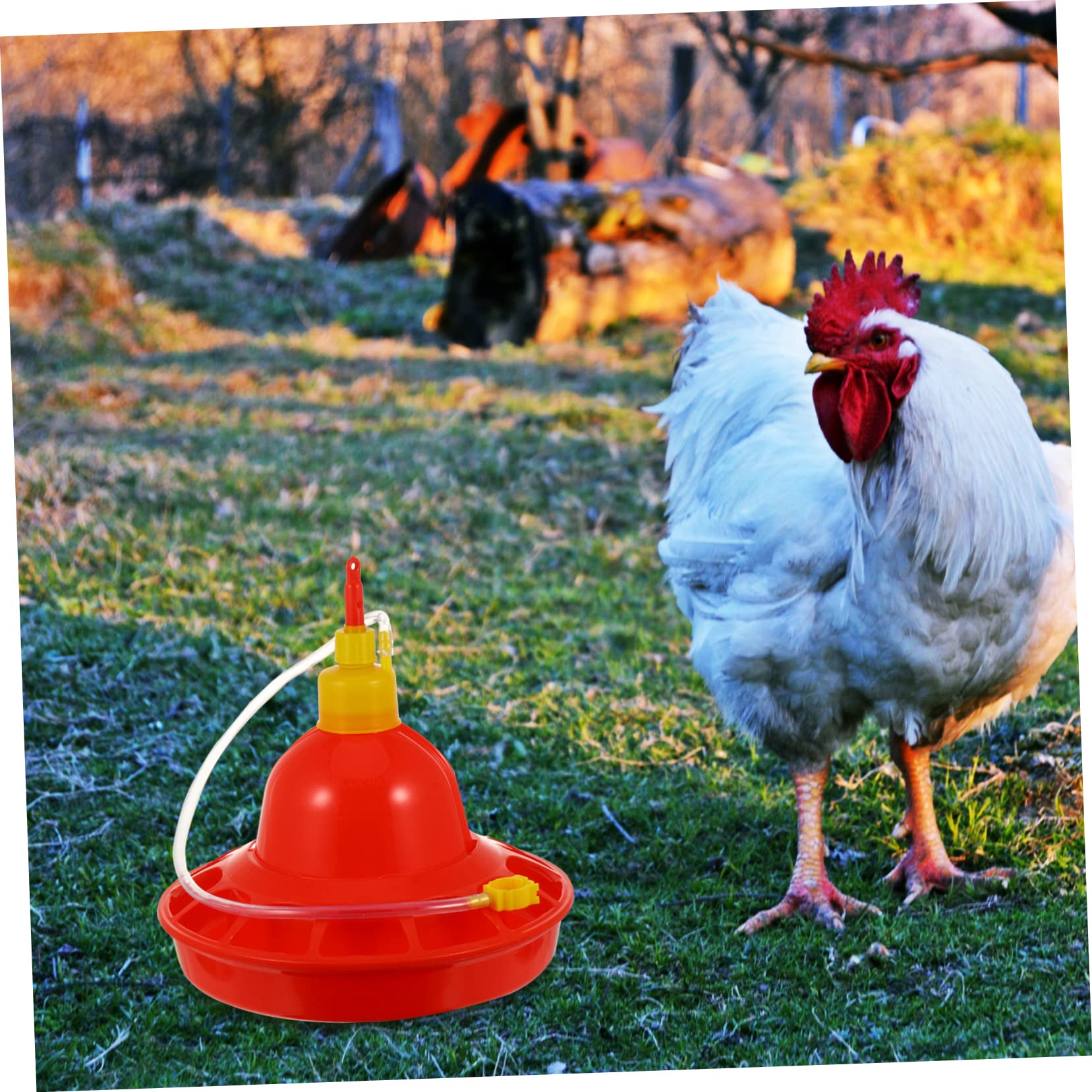 HANABASS Abbeveratoio Automatico per Pollame e Galline in Plastica Rossa, Erogazione Costante Dell'acqua, Resistente al Calore, per Uso Esterno e Domestico