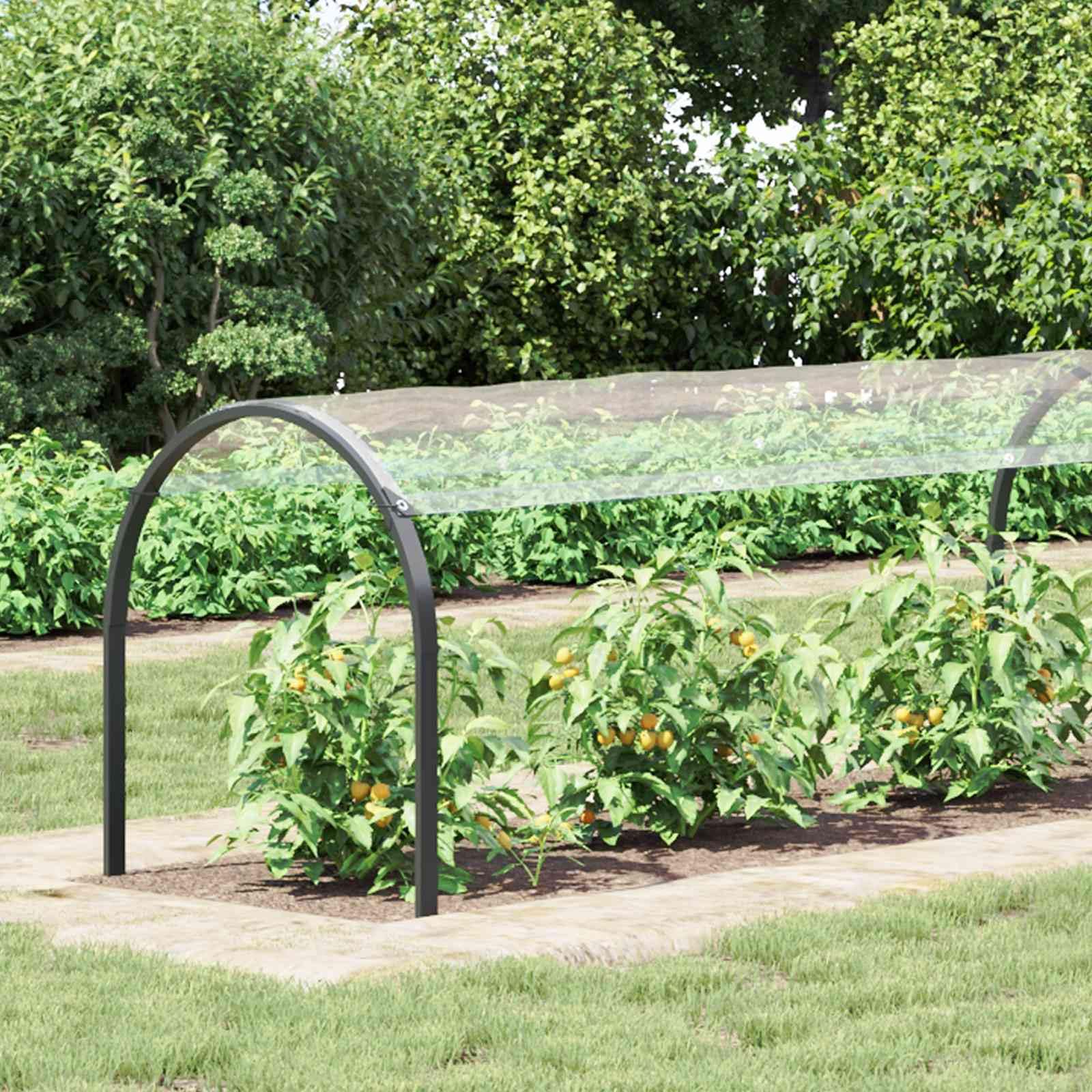Pflanzenabdeckung Transparent 10 x 1,5 m PVC Plane mit Ösen wasserabweisend für Garten, Gewächshaus, Beet und Gemüse Schutz, vielseitige Abdeckung für Rasen, Mulch, Boden und Pflanzenpflege