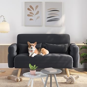 Yaheetech 116cm Fabric 2 Seater Loveseat Sofa with 2 Pillows, Dark Grey