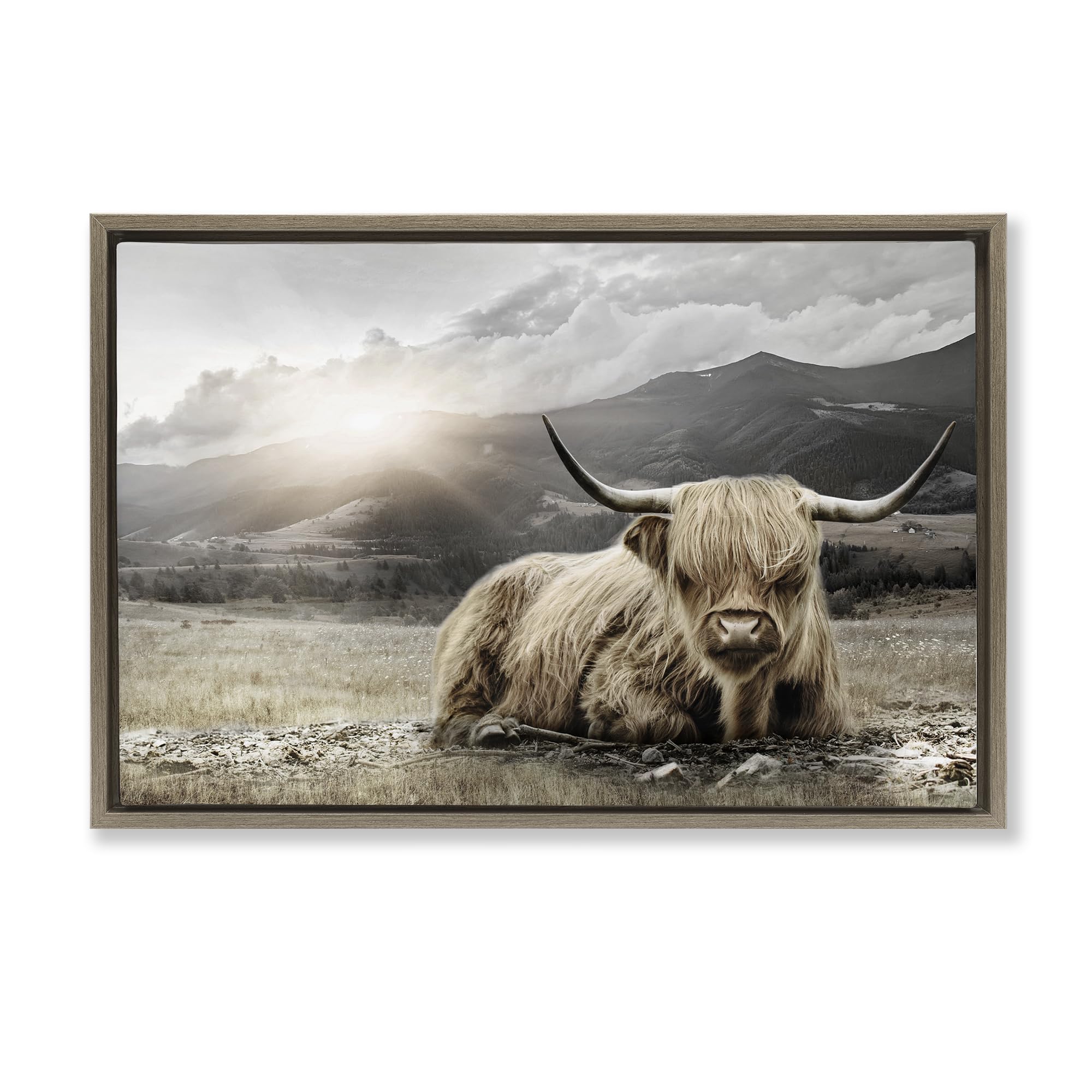 'Cattle Resting in Morning Sun'| Floating Frame Canvas Art