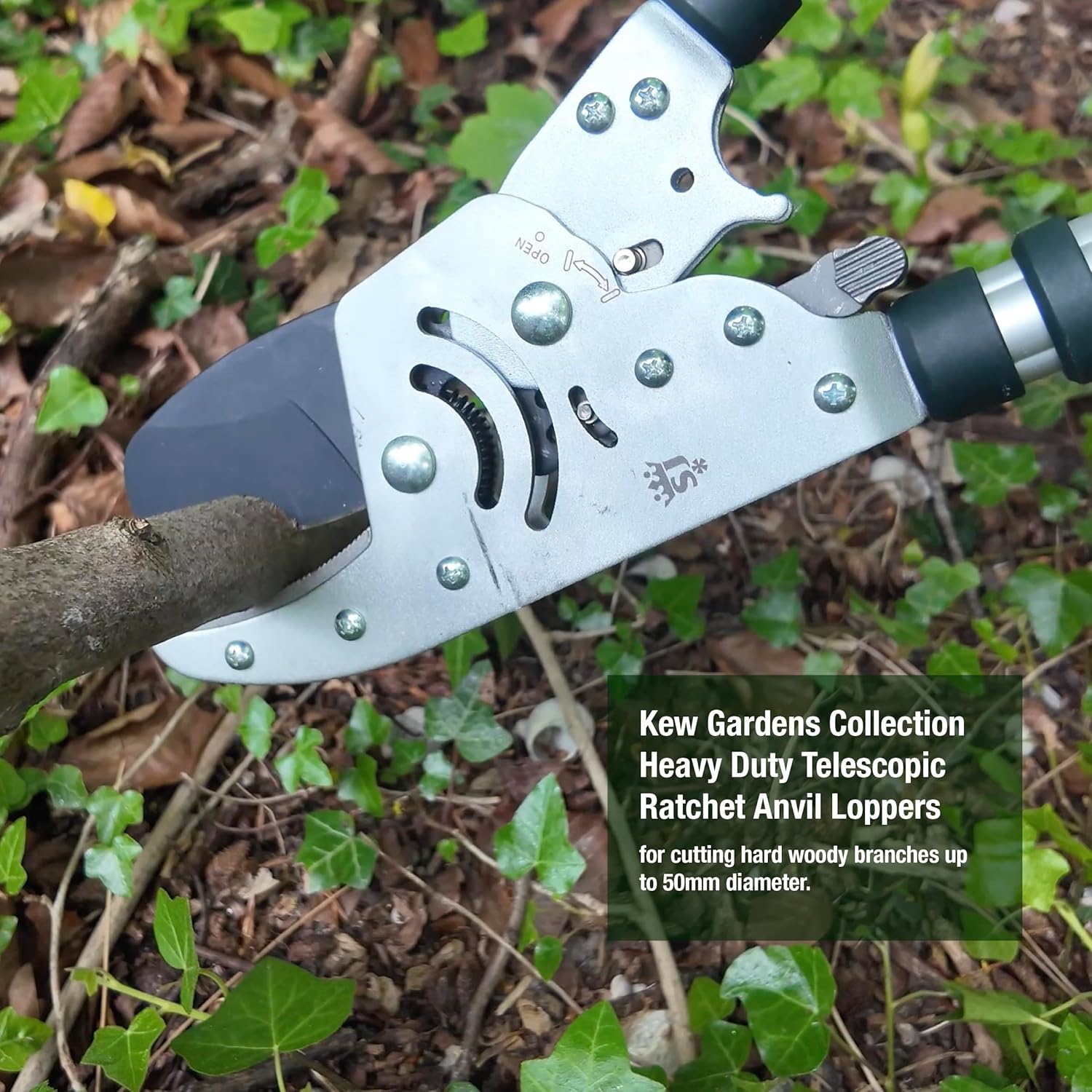 Spear & Jackson Kew Gardens Razorsharp Heavy Duty Telescopic Ratchet Anvil Loppers