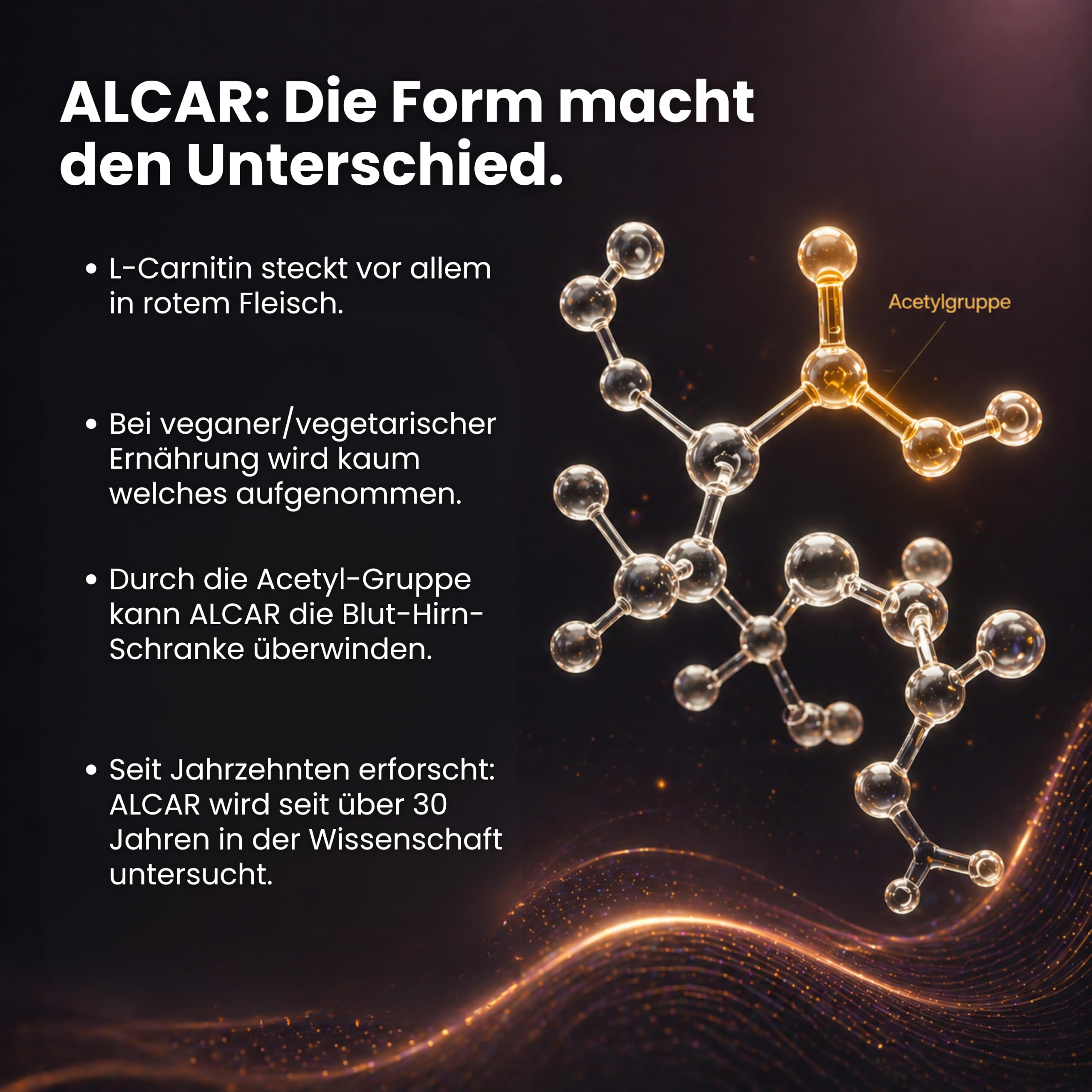 Aminosäure Acetyl-l-Carnitin (ALCAR) - Supplenatura®