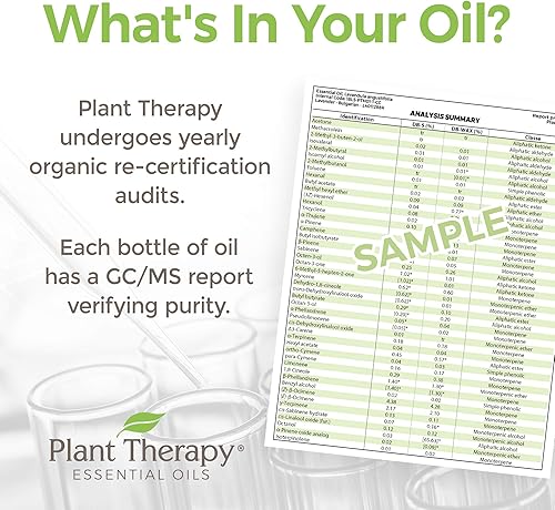 Miniatura 3 de Plant Therapy Organic Respir Support Mezcla de aceites esenciales 0.3 fl oz (13 oz) 100% puro, sin diluir, aromaterapia natural, grado terapéutico