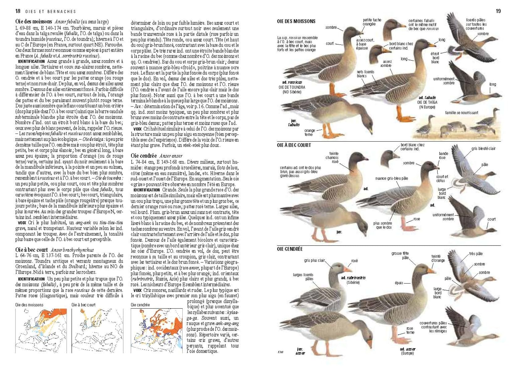Le Grand guide ornitho
