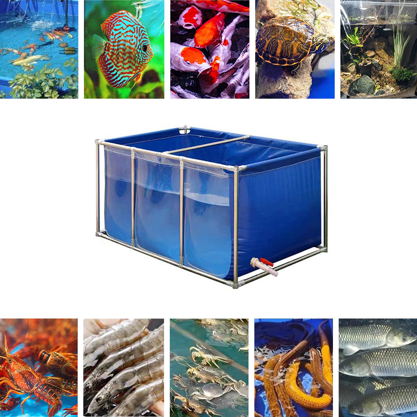 屋内鑑賞魚飼育水槽60cm　値下げ交渉可能！ 屋内鑑賞魚飼育水槽60cm 値下げ交渉可能！