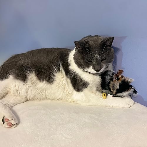 Miniatura 4 de Ethical Pet Products (Spot) SPOT CSO2829 - Juguete de plumas para gatos, surtido (773402)