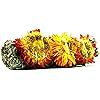 Product Photo 4
