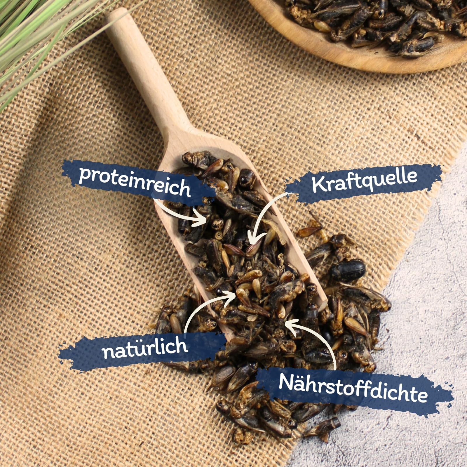 Lyra Pet® 10 kg Heimchen getrocknet Vogelfutter Wildvögel Nager Reptilien | Reich an Proteinen & Mineralien - Nährstoffreiche Ergänzung zum Hauptfutter - Idealer Energiespender - Natürliches Futter