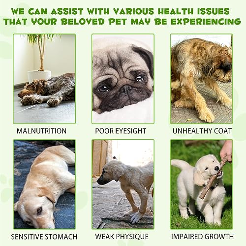 Miniatura 6 de Probióticos para perros, probióticos 3 en 1 para perros y enzimas digestivas para mascotas, apoya la salud intestinal, picazón en la piel, alergias,