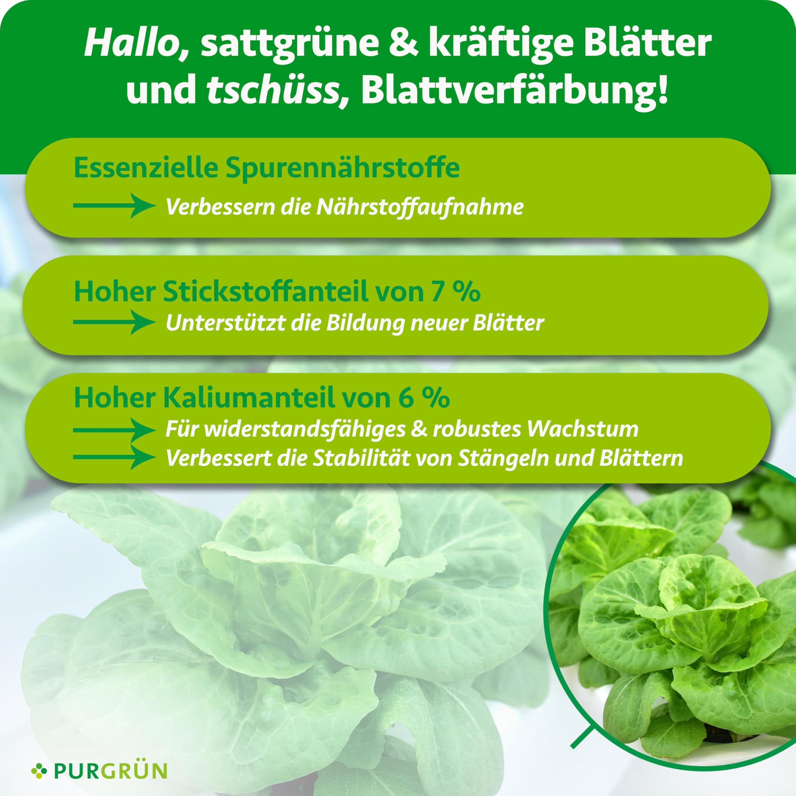 Hydroponik-Dünger 1 Liter – Schnell wirksame mineralische Rezeptur – Premium-Flüssigdünger mit Spurennährstoffen – NPK 7+3+6 – Stärkt die Widerstandskraft – Für gesundes Wachstum