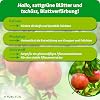 Organic Pomegranate Fertiliser 1 Litre - High Yield Thanks to Extra Phosphorus - Organic & Vegan - Premium Liquid Fertiliser - No Animal Ingredients - High Yield Concentrate for 100 Litres of Water