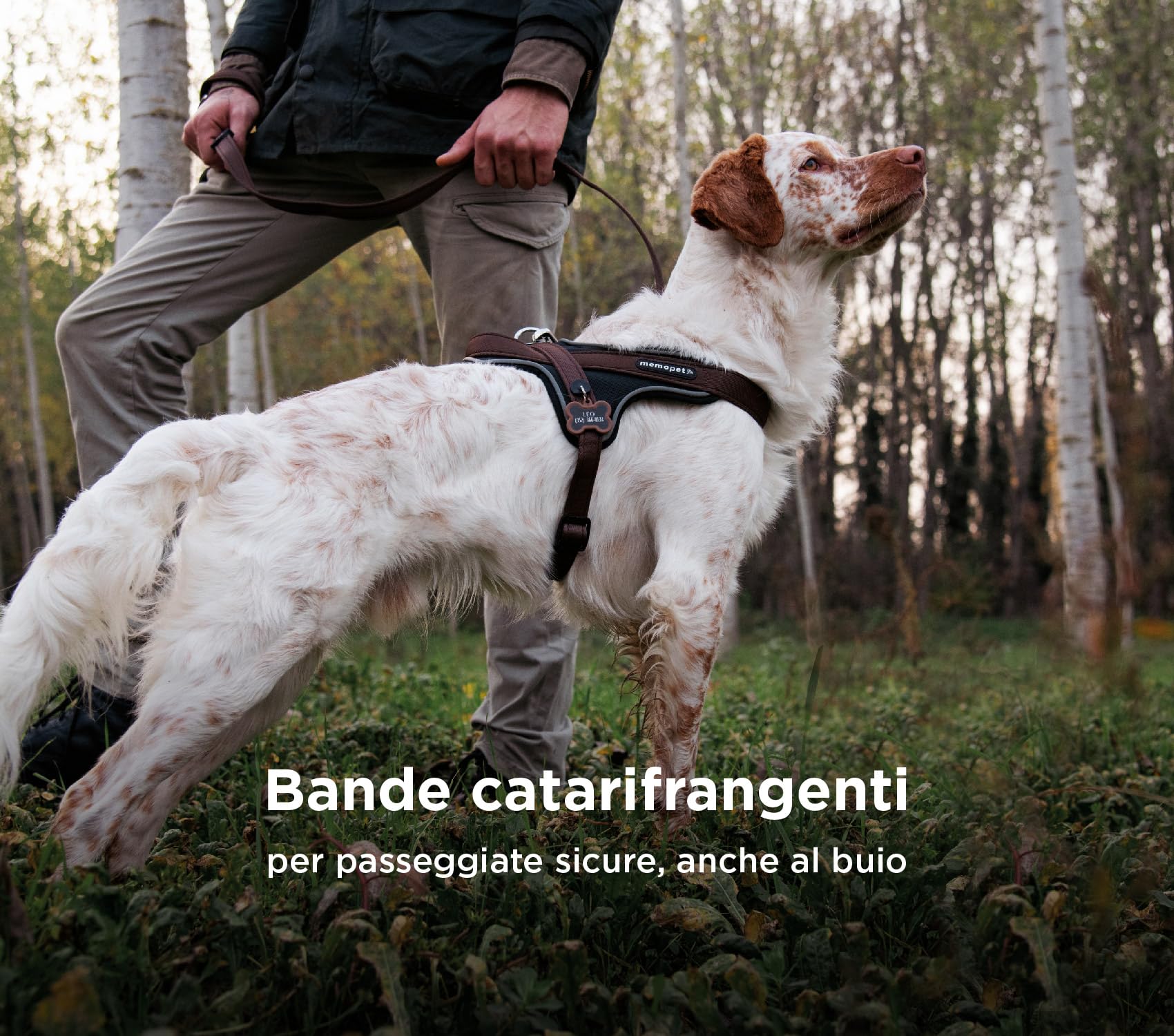 MyFamily Arnés para Perros De Poliéster Made In Italy, Los Datos Maestros De Tu Perro Siempre Contigo, Conexión para Smartphone con Tecnología NFC, Modelo K, Colección Memopet