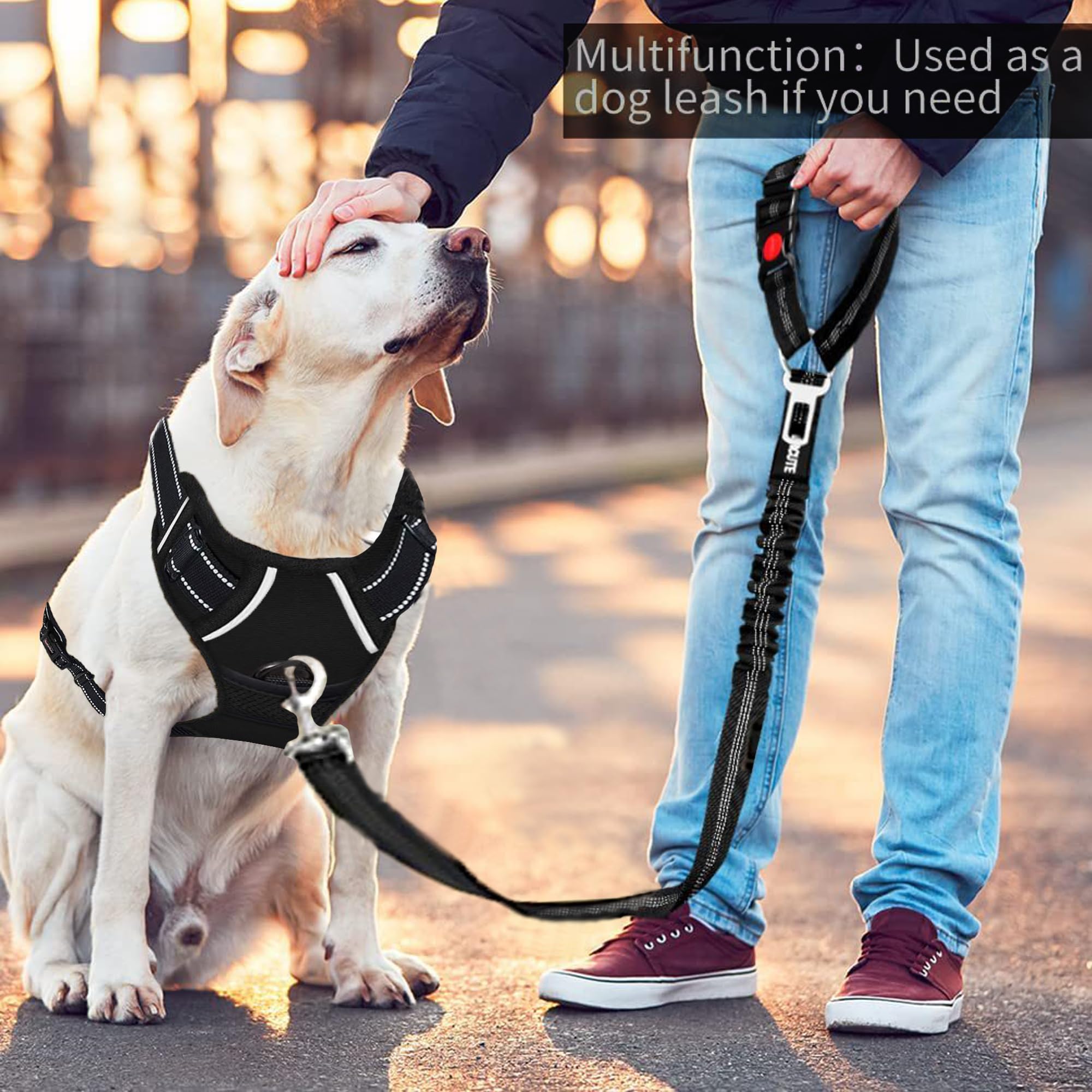 Cintura Di Sicurezza Per Cani 3 In 1 - Regolabile, Riflettente, Per Taglie Medie E Grandi - Foto 1