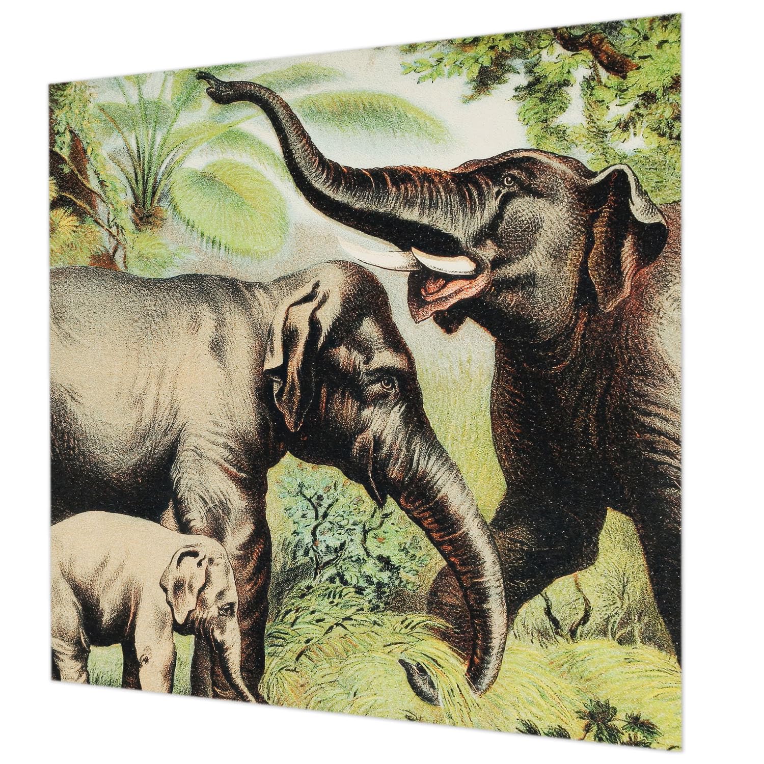 Tapisserie intissée éléphants 250x250 cm Tulup pour chambre