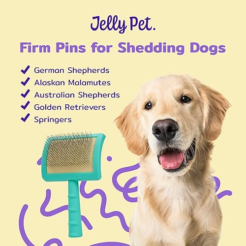 Miniatura 5 de Jelly Pet Cepillo universal deslizante para perros, elimina enredos y capa interior muerta, bichón de canichón maltés Shi-Tzu, pines firmes, verde