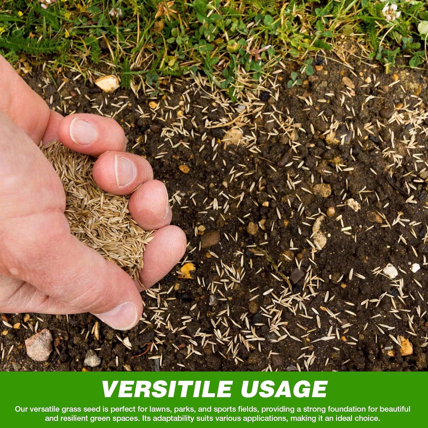 GroundMaster Semences de Gazon Pousse Ultra Rapide 5 kg 150 m² Résistant à la Sécheresse