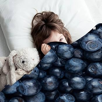 布団・毛布 Blueberry Amazon.com: Blueberry Throw Blanket Fruits Food Blanket Super Soft