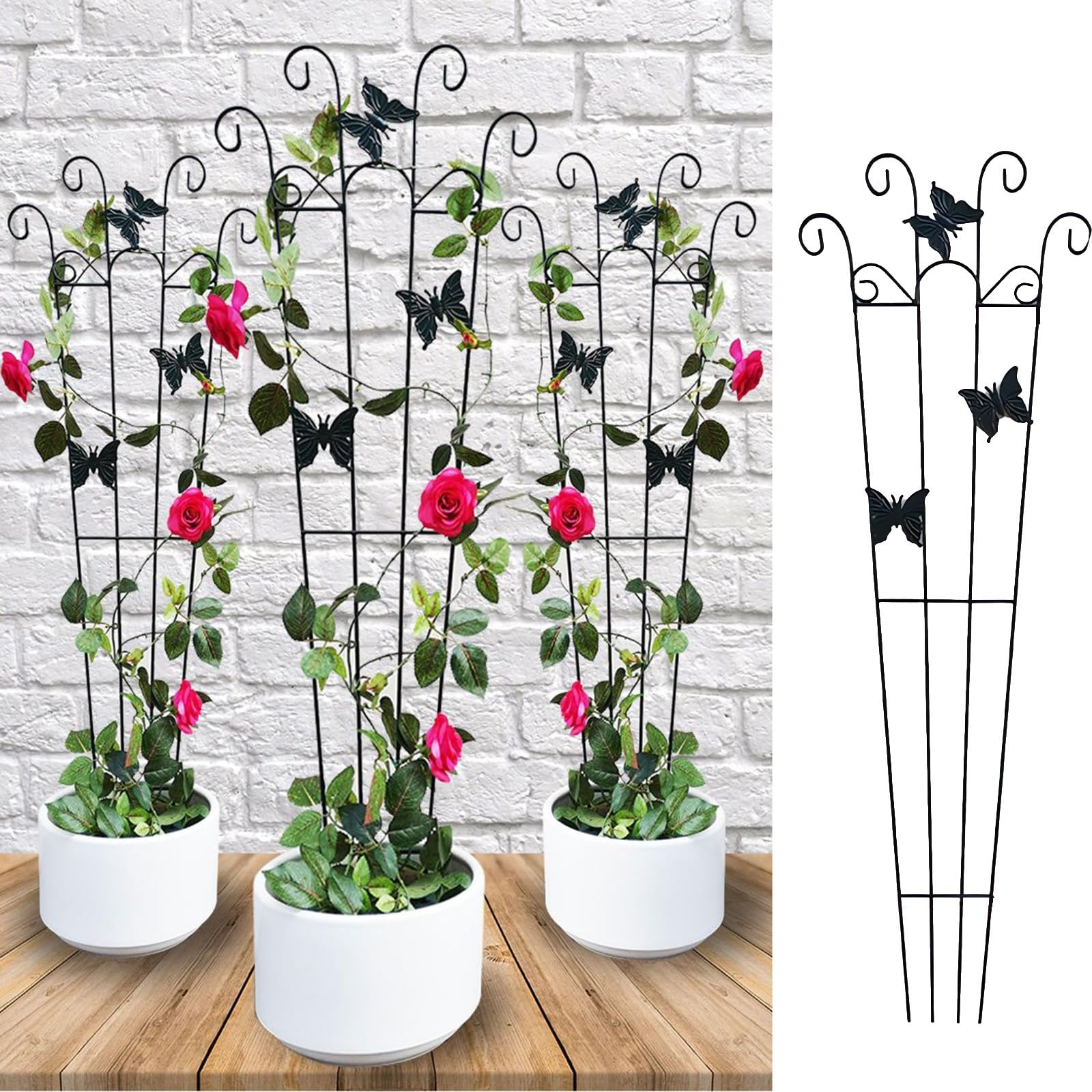 Festone A Forma Di Ventaglio Decorativo Di Carta Con Stella Di Natale Elegante Holy Poinsettia