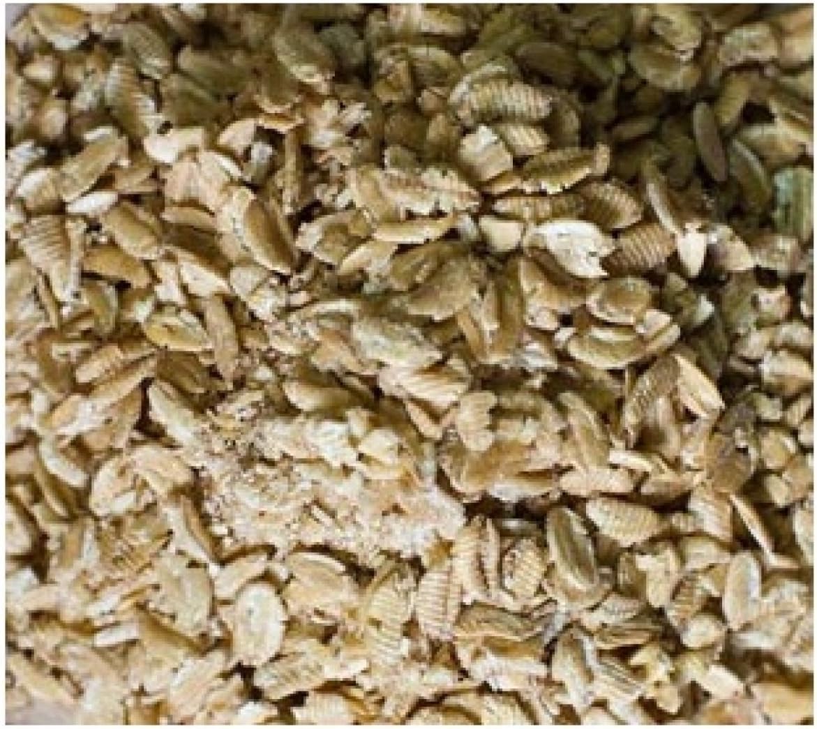 Grains BG13939 Grains Rolled Kamut Flakes - 1x25LB