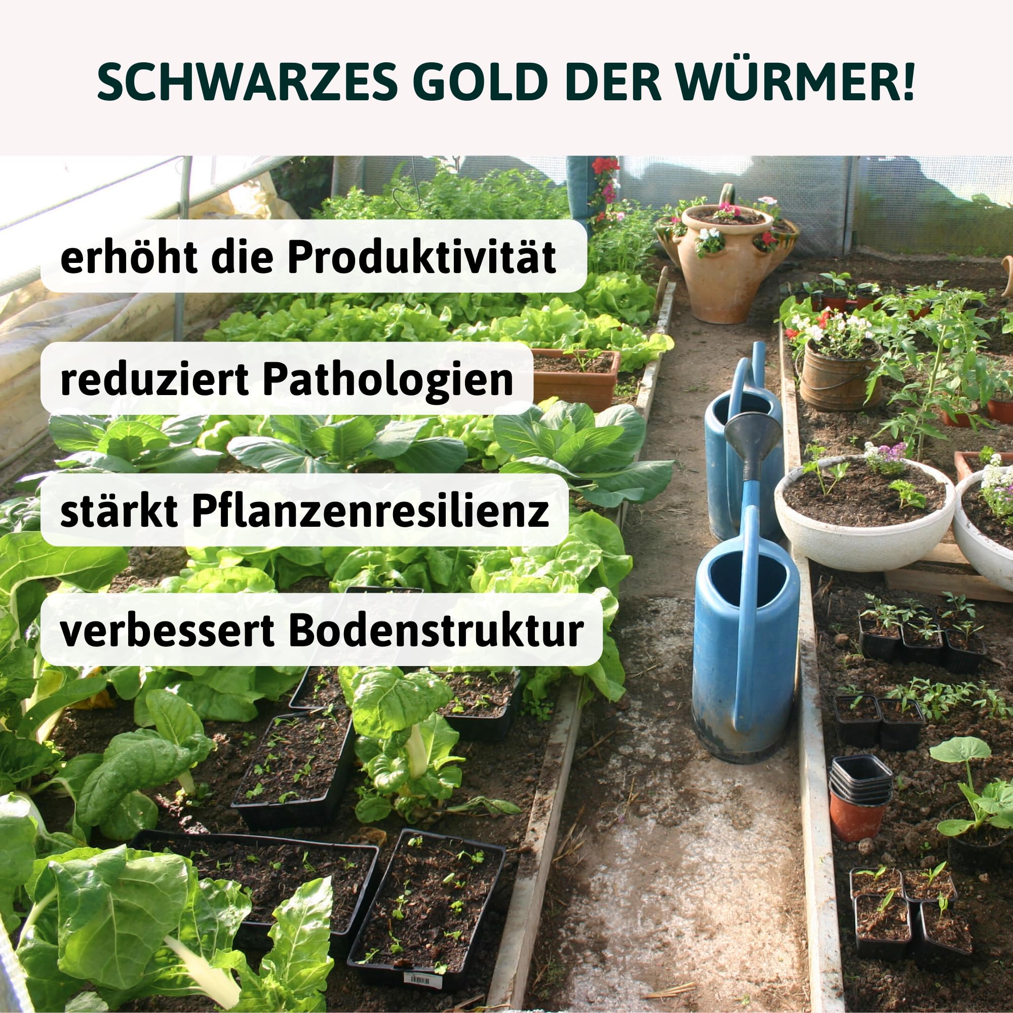 Bio Regenwurmhumus 40L