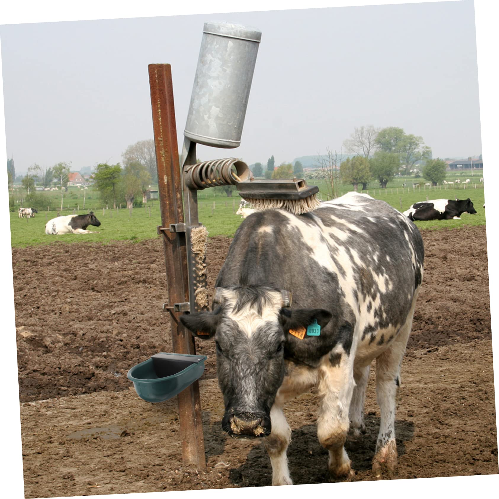 Bebedero Automático Para Caballos Tazón De Agua Flotador Plástico Higiene