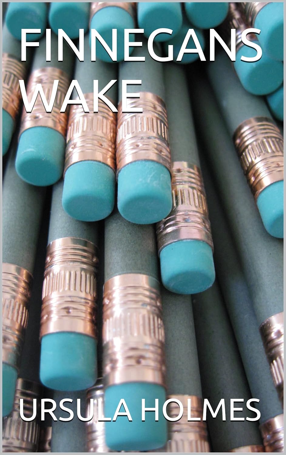 FINNEGANS WAKE eBook HOLMES, URSULA Amazon.in Kindle Store